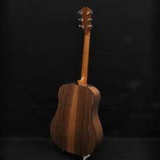 Taylor 110e_3