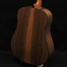 Taylor 110e_5