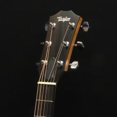 Taylor 110e_6