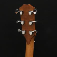 Taylor 110e_7
