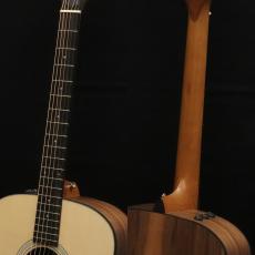 Taylor 110e_8