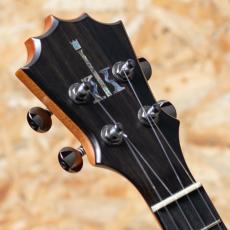 KoAloha KTM-10RPMG Royal Pikake Tenor_8