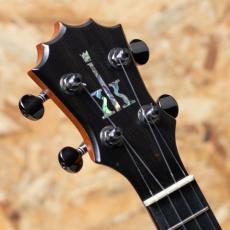 KoAloha KSM-10RPMG Royal Pikake Soprano_8