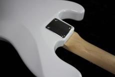 SCHECTER OL-TB/SW/R-#SOL-2412020【4.14kg】_10