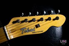 Tokai ATE/M BLK_3