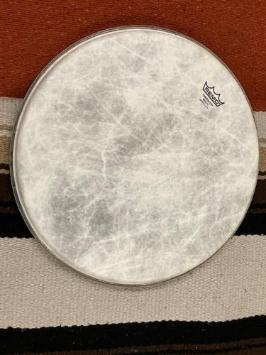 Remo Fiberskyn Banjo Head 10 1/2 Inch(Medium Crown)