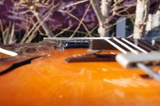 Gibson ES-125_7