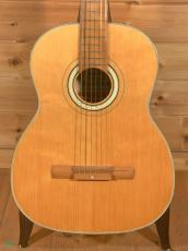 YAMAHA DynamicGuitar No20   '60s_2