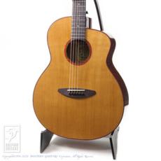 aNueNue LF550E (Torrefied Sitka Spruce)