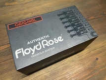 Floyd Rose Original Limited 1984 Tremolo System R2Nut Chrome/5150/フランケン/フロイドローズオリジナル/新品/全国一律送料無料!_9