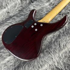 Aria Pro II IGB-68 STWR_6