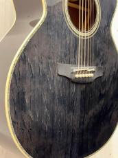 Takamine 『オーダー受付中』500CTM ~Ash Fire~ 《Select Bear Claw Spruce》【無金利分割OK】【送料は当社負担】_3