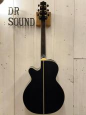 Takamine 『オーダー受付中』500CTM ~Ash Fire~ 《Select Bear Claw Spruce》【無金利分割OK】【送料は当社負担】_7