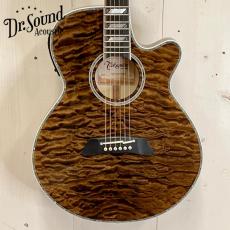 Takamine 『オーダー受付中』TSP178AC ~Custom Brown Quilt  with Avalon~