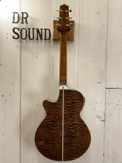 Takamine 『オーダー受付中』TSP178AC ~Custom Brown Quilt  with Avalon~_5