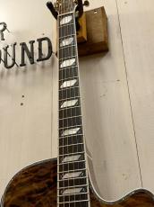 Takamine 『オーダー受付中』TSP178AC ~Custom Brown Quilt  with Avalon~_9