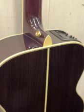 Takamine 『オーダー受付中』700CTM ~Purple~ _5