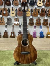 aNueNue AAA2E ピックアップ付き