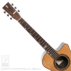 Fonzo Guitars V201S MINI VC_6