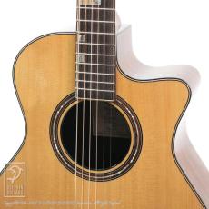 Fonzo Guitars V201S MINI VC_11