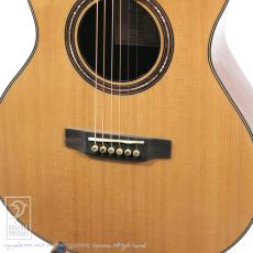 Fonzo Guitars V201S MINI VC_12