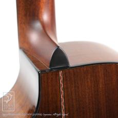 Fonzo Guitar V301S SJ FC_13