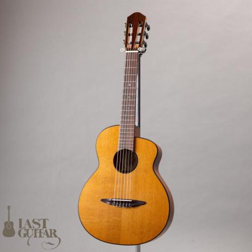 aNueNue aNN-N520AC(AUTUMN CEDAR)