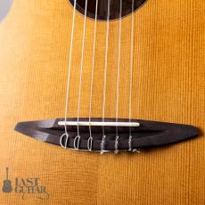 aNueNue aNN-N520AC(AUTUMN CEDAR)_3