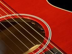 Gibson 【New】 Custom Shop Greatest Hits Vol.2　L-00 Maple Cherry #22965129【試奏動画あり】【G-Club Tokyo】 _10