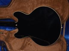 Archtop Tribute AT130 Black Beauty_3