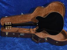 Archtop Tribute AT130 Black Beauty_4
