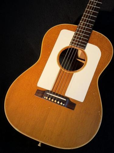 Gibson 【Vintage】 F-25 Folksinger 【1965】試奏動画あり