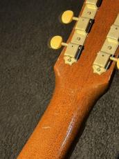 Gibson 【Vintage】 F-25 Folksinger 【1965】試奏動画あり_6