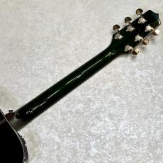 Takamine 【現物動画あり】700 CTM 蓮の花(ハスノハナ)【生産数1本】【工場選定スプルース×ローズウッド】_8