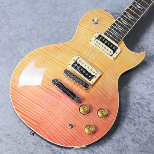 Aria Pro II PE-Jail 2025 「現物写真」