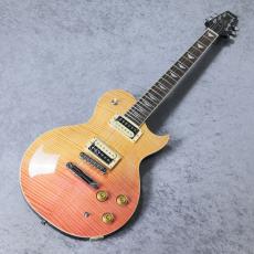 Aria Pro II PE-Jail 2025 「現物写真」_2