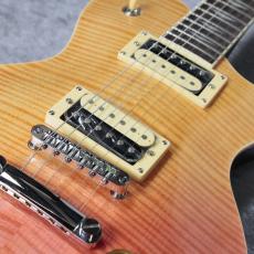 Aria Pro II PE-Jail 2025 「現物写真」_3