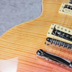 Aria Pro II PE-Jail 2025 「現物写真」_5