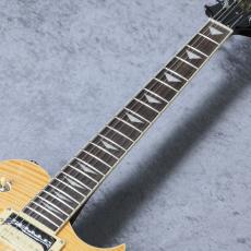 Aria Pro II PE-Jail 2025 「現物写真」_8