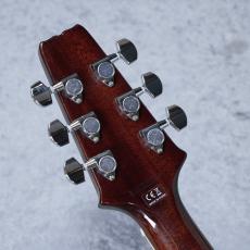 Aria Pro II PE-Jail 2025 「現物写真」_11