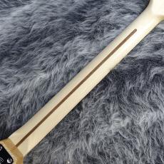 Fender Made in Japan Heritage 70s Stratocaster / Natural_6