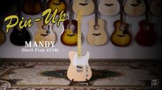 Eric Daw Custom Guitars 【試奏動画有】#238 "MANDY" TL Shell Pink