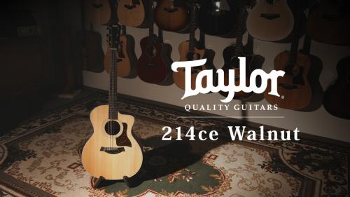 Taylor 【試奏動画有】214ce Walnut【Taylor公認 リペアマン在籍店】