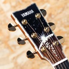 YAMAHA LL56 Custom ARE -MIKI 200th Anniversary-_8