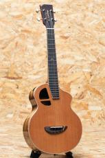 L.Luthier Le Manga C w/EQ_3