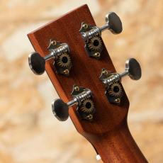 L.Luthier Le Manga C w/EQ_9