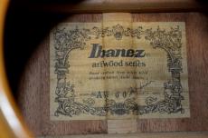 Ibanez AW-60_10