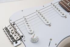 FUJIGEN NST100RAL -Pearl Rose- PLR 【B級品特価】【3.59kg】_5