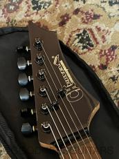 Charvel CS-CDS-I "Sample"_7
