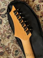 Charvel CS-CDS-I "Sample"_10